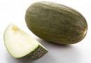 melon pele de sapo